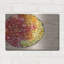  «Bowls Of Fruit 1» par Alicia Ludwig, art mural en métal, 16 po x 12 po-1838982147