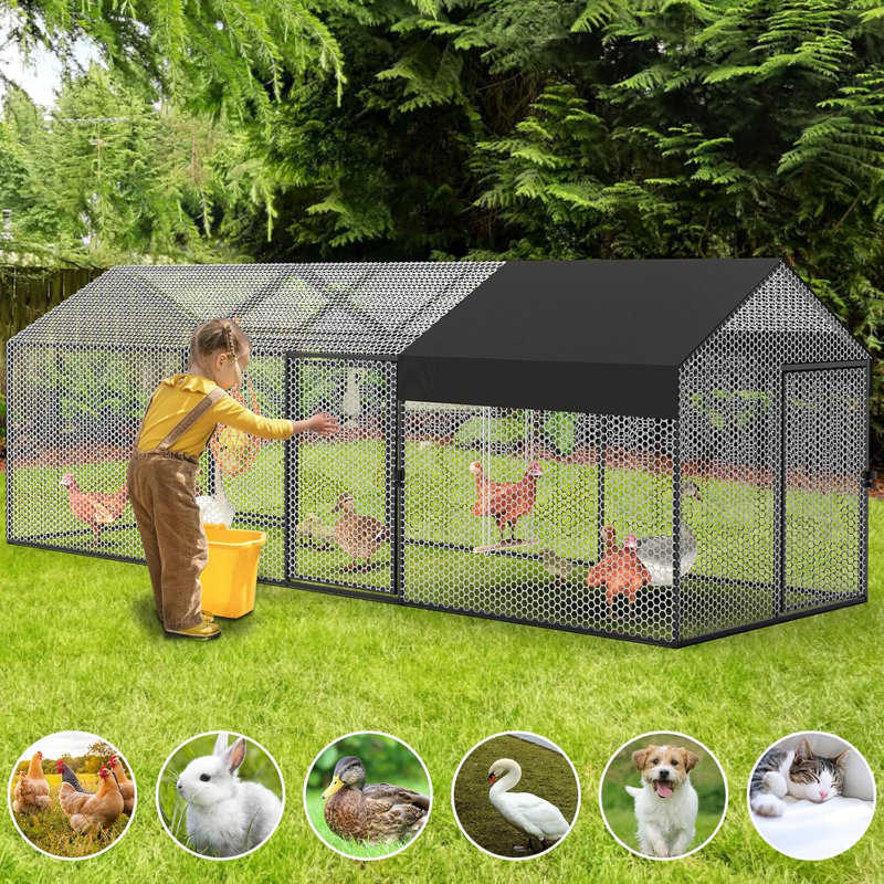 Walk In Chicken Run
