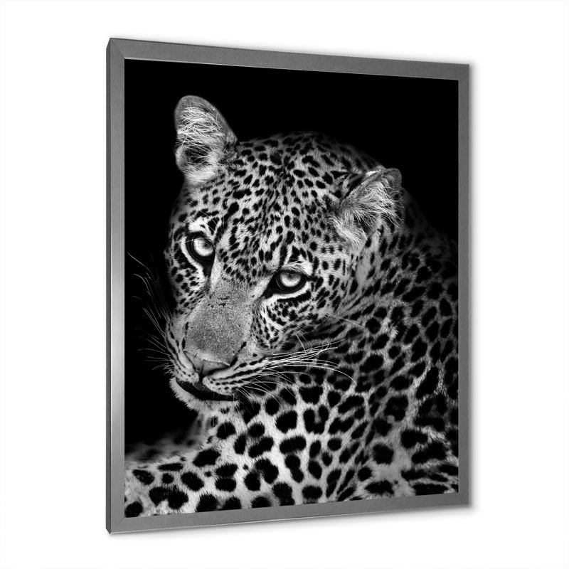 Léopard en noir et blanc II - reproduction d'art sur toile, H 20 po x l 12 po x P 1 po, Cadre photo argenté