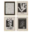 «Mid-Century Plants Nature» noir et blanc, impression encadrée sur papier, 4 pièces-97770731-97770733