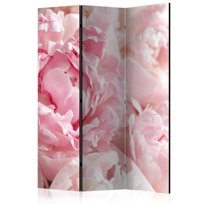 135 cm W x 172 cm H 3 - Panel Folding Room Divider