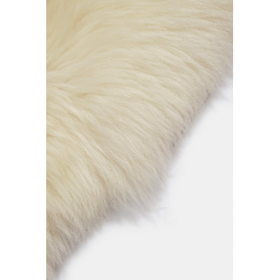Dwana Solid Colour Sheepskin Area Rug