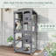 Fenêtre pour chat Catio