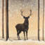 Roe Deer in Winter - Brown-371147513-371147515
