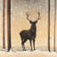 Roe Deer in Winter - Brown-371147515-371147513