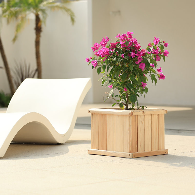 Barros Outdoor Wood Planter Box, Beige