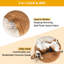 Branchville Pet Bed-1953912252