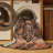 Machine Washable Persian Brown Area Rug-2145772827