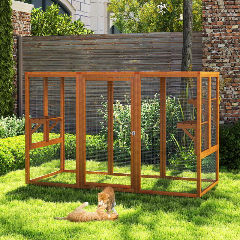 Cat Cage