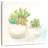 Harnek Sweet Succulent Pots I