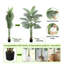 84 plantes