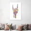 «Skeleton Hand» - reproduction-52366282-52366290