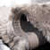 Moultrie Shag Hand Tufted Performance Solid Color Rug