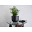 Handmade Ceramic Pot Planter-422054614-422054609