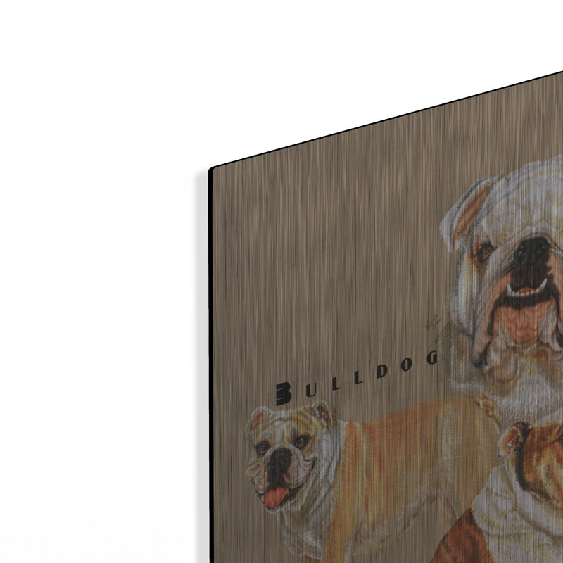 «Bulldog» par Barbara Keith, H 24 po x l 16 po