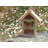 Nafni Mounted Butterfly House