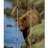 Hartlepool 48'' W x 72'' H 3 - Panel Folding Room Divider