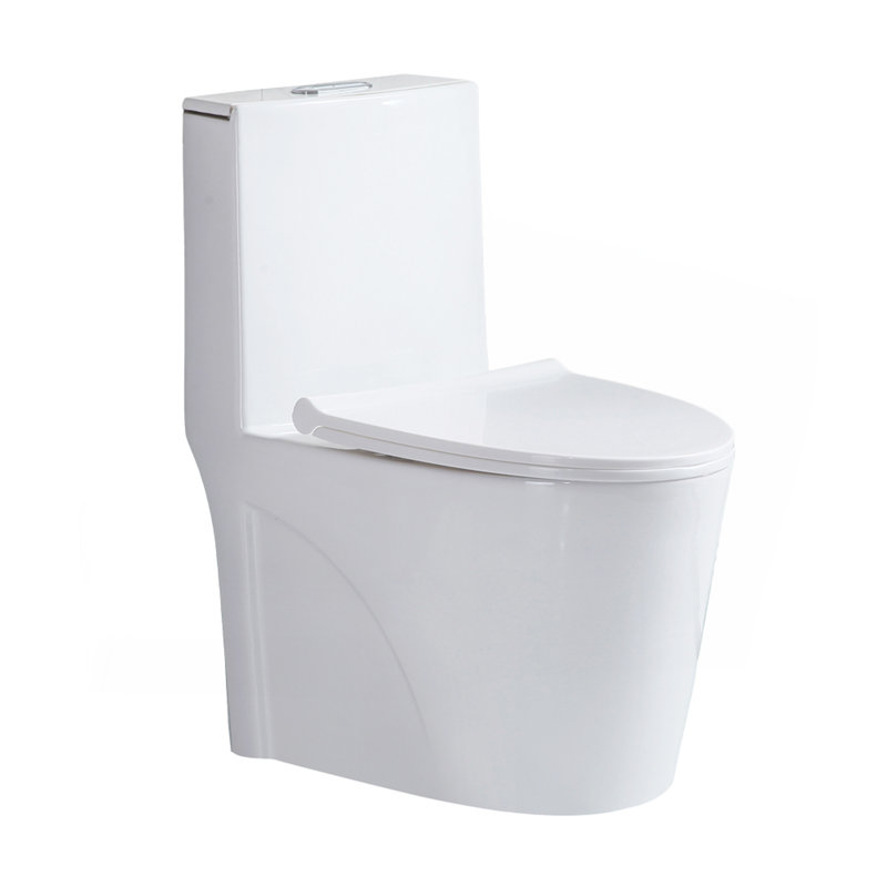 Petite toilette compacte une pièce à double chasse