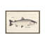 Silver Salmon Print-957647781