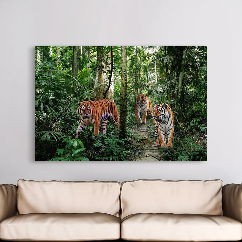 Bengal Tigers - Wrapped Canvas Print, 60cm H x 80cm W x 4cm D