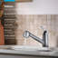 Valton Pull Out Single Handle Kitchen Faucet with MasterClean and Side Spray-556100277