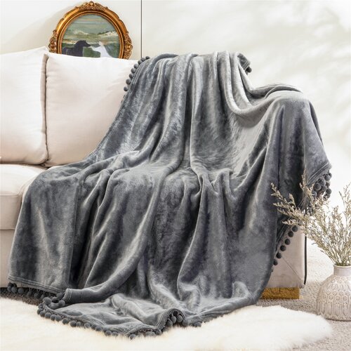 Dakota Fields Woven Throw Blanket & Reviews | Wayfair