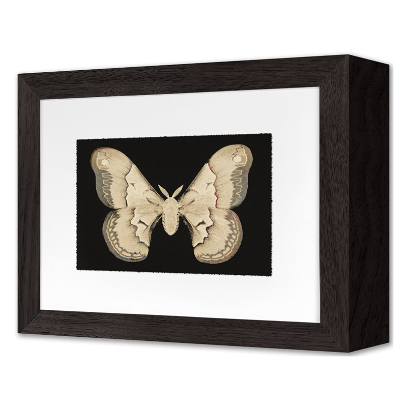 Flutter 7 Print by Todaro, Katie