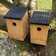 Traditional Wooden Mounted Bird House with Removable Bases