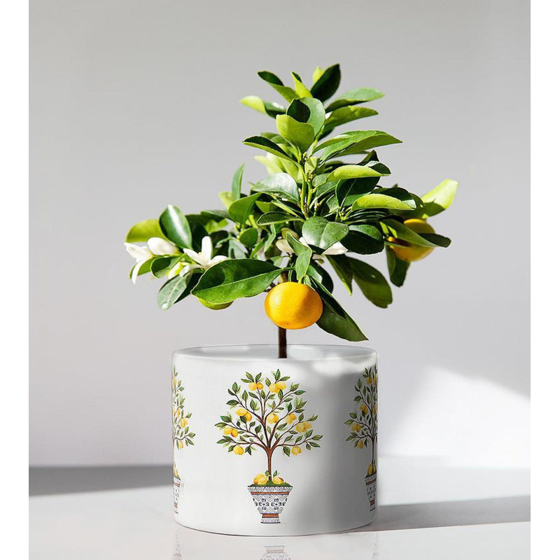 Pot à fleurs Lemon Trees