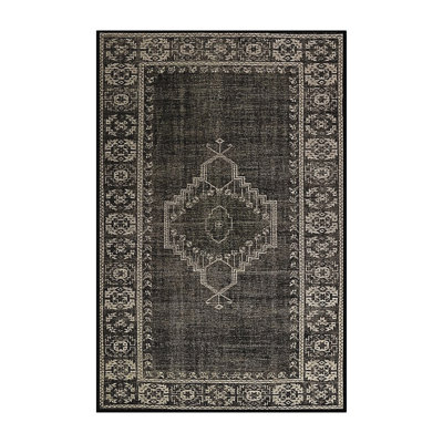 Harrisville Oriental Indoor Rug