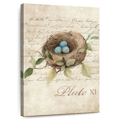 Brampt Bird Nest Study