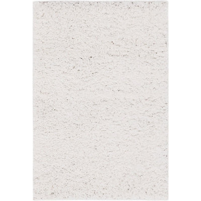 Carlosadrian Oriental Indoor Rug