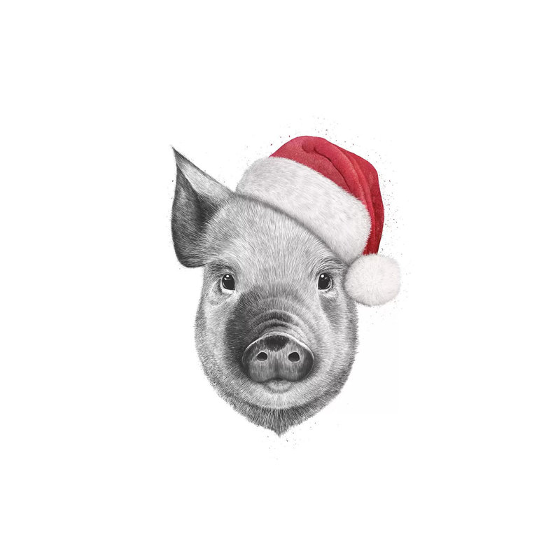 Christmas Pig by Valeriya Korenkova - Wrapped Canvas Print, 66.04cm H x 45.72cm W