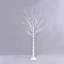 Lighted Trees & Branches-1388953676