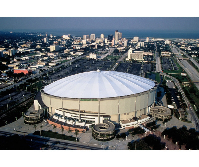 Tropicana Field, 16" H x 24" W