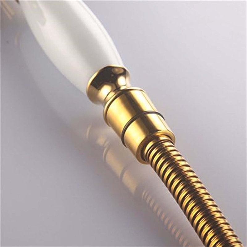 Rain Handheld Shower Head, Gold