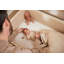 Cot Bedding Set-1999232221