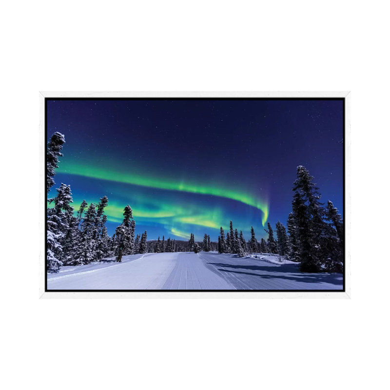 Aurora Borealis, Northern Lights Near Fairbanks, Alaska I by Stuart Westmorland - Print on Canvas, 101.6 cm H x 66.04 cm W