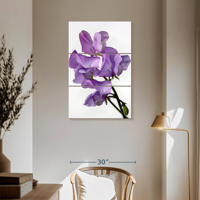 Fleurs de pois Harnek, H 57 po x l 36 po