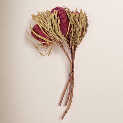 Dried Banksia Floral Stems