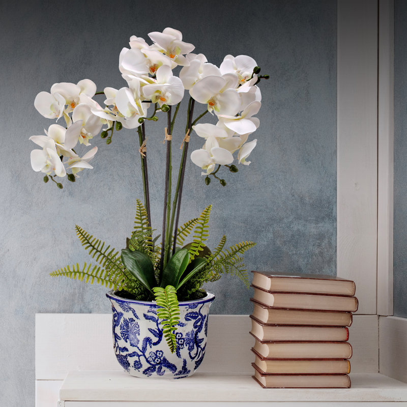 Arrangement d'orchidées en pot chinois