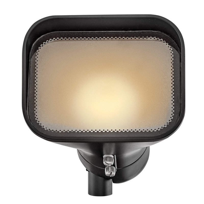 Satin Black Frosted Glass Outdoor Flood Light