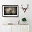 Gentle Elephant in Abstract - Picture Frame Graphic Art Print-55727020-55727015