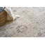 Oriental Area Rug in Beige-712152780