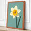 Golden Daffodil Botanical - Wrapped Canvas-474364855-474364853