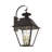 Frankly 4 - Bulb 27.5" Outdoor Wall Lantern-1091048928
