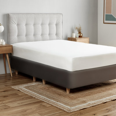 Silentnight Cotton Rich Soft Fitted Sheet