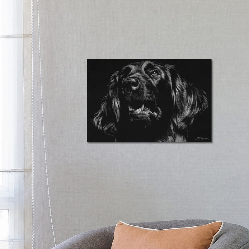 Canine Scratchboard XV by Julie T. Chapman - Wrapped Canvas Print, 66.04 cm H x 45.72 cm W x 1.91 cm D