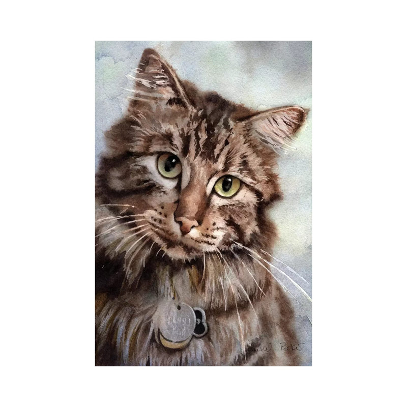 Maine Coon Eyes by Rachel Parker - Wrapped Canvas Gallery-Wrapped Canvas Giclée, 66.04 cm H x 45.72 cm W