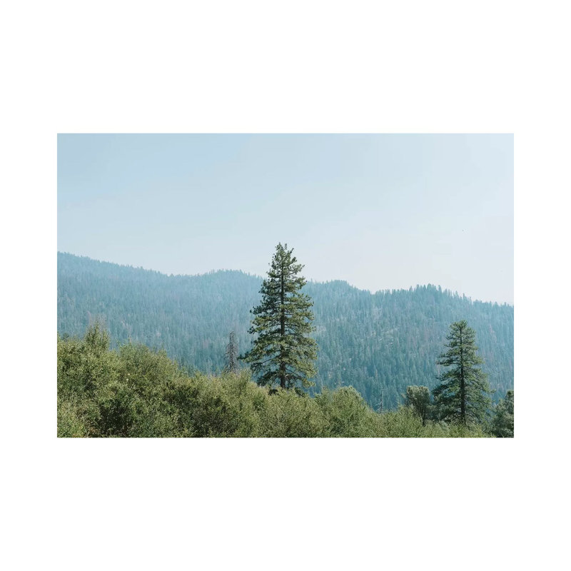 Yosemite National Park XVI by Bethany Young - Print on Canvas, 45.72cm H x 66.04cm W x 3.81cm D, Wrapped Canvas